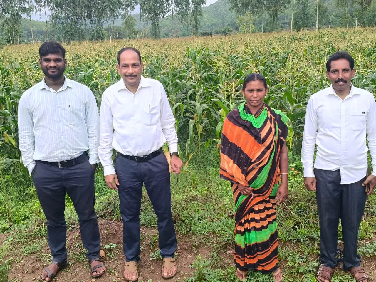 Maize field photo under Mukhyamantri Maka Mission with Shanti Maitree Secretary, Project Coordinator, beneficiary, and Access Development Services Nodal Officer in Kotagarh Block of Kandhamal district.